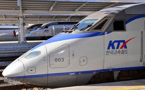 본문 이미지 -  2016.12.2/뉴스1 ⓒ News1 신웅수 기자