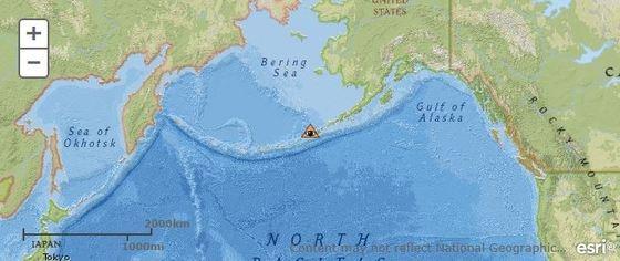 본문 이미지 - (출처=AVO) ⓒ 뉴스1