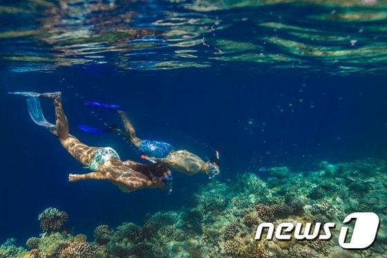 본문 이미지 - 반얀트리·앙사나 리조트는 엘니뇨 영향으로 탈색된 산호를 회복 시키기 위해 보호 프로그램을 강화한다고 밝혔다.(이미지제공=반얀트리 호텔 앤 리조트)ⓒ News1