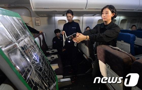 본문 이미지 - 대한항공 승무원이 테이저건 사용법을 훈련하고 있다(사진=오대일 기자)/News1