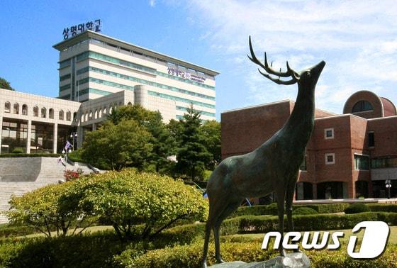 본문 이미지 - 상명대학교전경ⓒ News1
