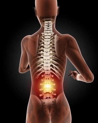 본문 이미지 - ⓒ News1