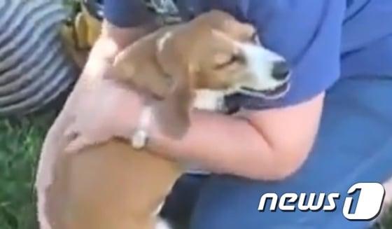 본문 이미지 - 주인에게 안겨 구슬프게 우는 개. (유튜브 영상 캡처) ⓒ News1