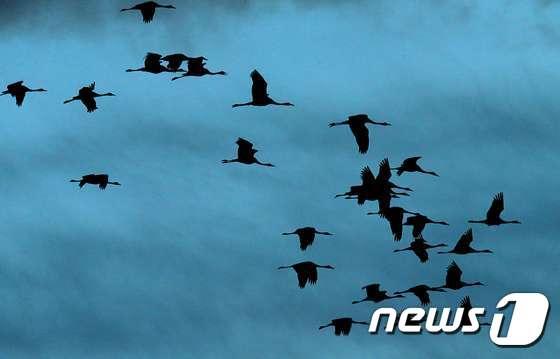 본문 이미지 - ⓒ AFP=뉴스1