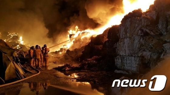 본문 이미지 - 뉴스1 DB ⓒ News1