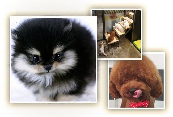 본문 이미지 - ⓒ News1