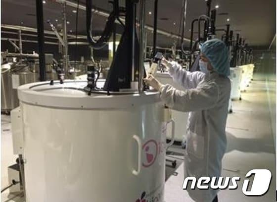 본문 이미지 - 제대혈 보관시설 ⓒ News1
