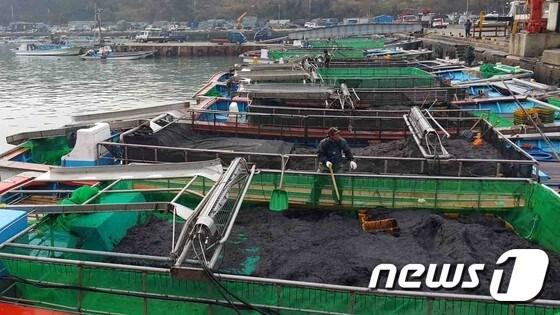 본문 이미지 - 물김을 싣고 부두에 들어온 어선./뉴스1
