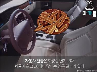 본문 이미지 - 2012년 교통안전공단에서 발표한 자료에 따르면 자동차 핸들은 화장실 변기보다 세균이 최고 26배 많다. ⓒ News1
