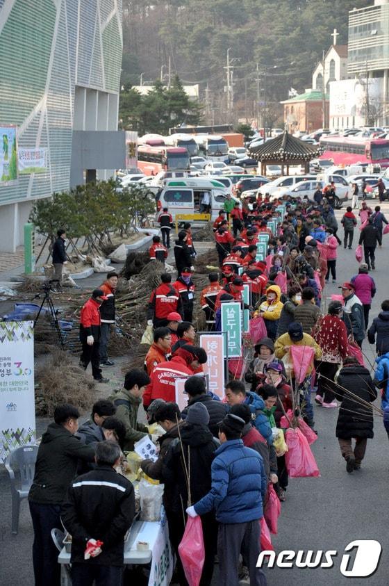 본문 이미지 - 동부산림청, 나무 나눠주기 행사(뉴스1 DB) ⓒ News1
