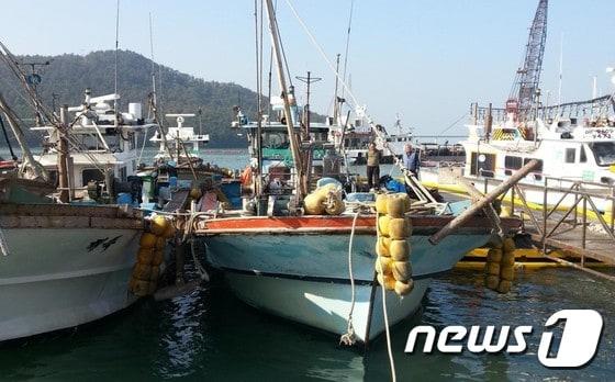 본문 이미지 - 연안어선(고흥군 제공) ⓒ 뉴스1 지정운 기자