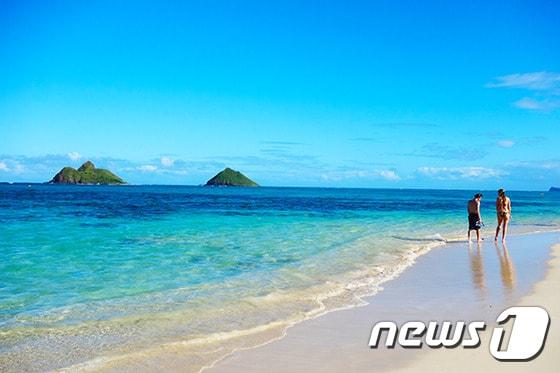 본문 이미지 - 욘박 커플이 찾은 라니카이 비치(트래블레시피여행사 제공)ⓒ News1 travel