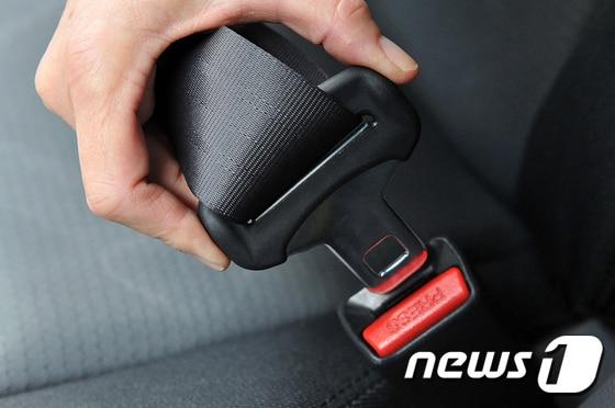 본문 이미지 - ⓒ News1