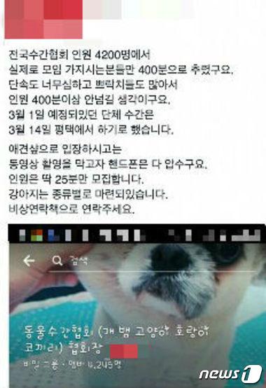 본문 이미지 - '동물수간협회' 회장이라는 네티즌이 올린 게시글. (온라인 커뮤니티 캡처) ⓒ News1
