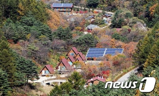 본문 이미지 - 양구군 광치 자연휴양림.(자료사진)/뉴스1 DB