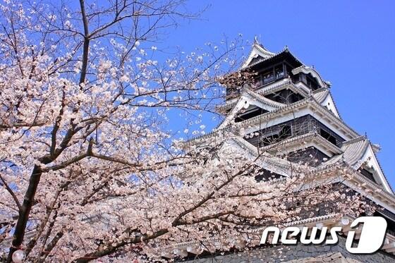 본문 이미지 - 후쿠오카 구마모토성.(여행박사 제공)ⓒNews1travel