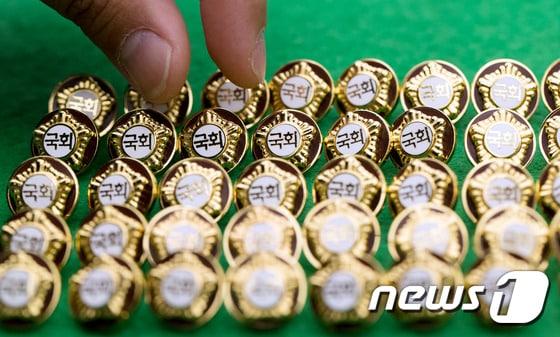 본문 이미지 - 제20대 국회의원 배지. 2016.4.11/뉴스1 ⓒ News1 DB