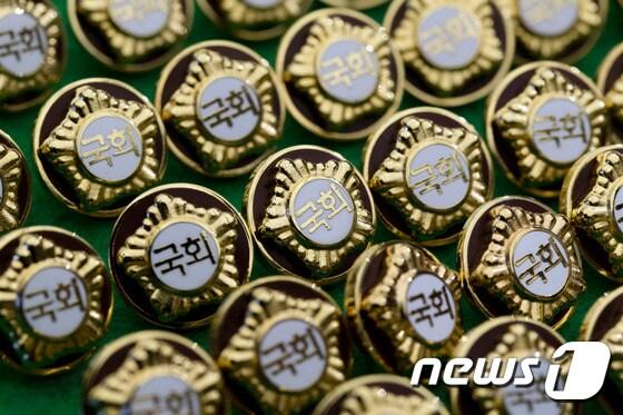 본문 이미지 - 국회의원 배지. 뉴스1 ⓒ News1 김명섭 기자