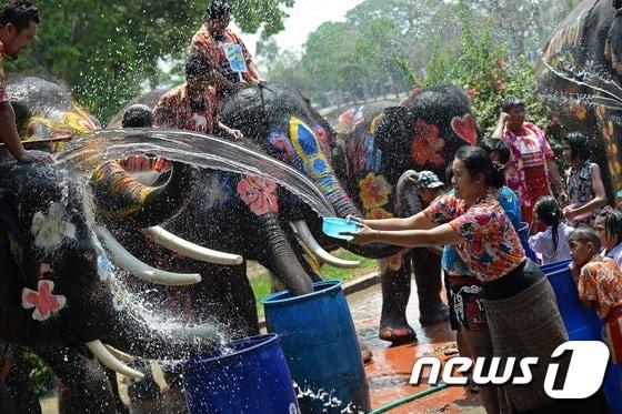 본문 이미지 - 태국에서 새해맞이 행사 송크란 축제가 시작된 가운데 11일&#40;현지시간&#41; 방콕 북쪽 아유타야에서 시민들이 코끼리와 물싸움을 벌이고 있다. ⓒ AFP=뉴스1 ⓒ News1 최종일 기자
