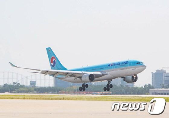 본문 이미지 - A330 항공기ⓒNews1travel