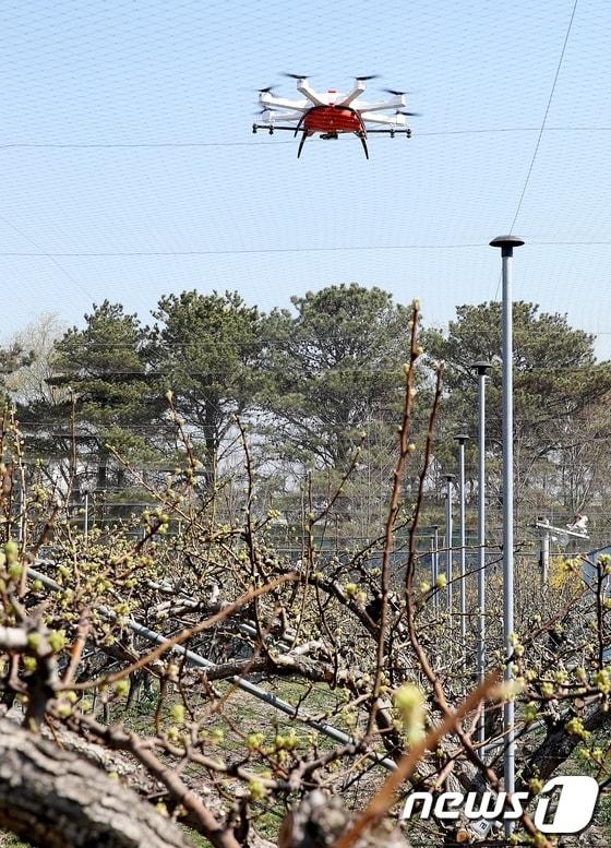 본문 이미지 - 드론 자료사진(사진은 기사 내용과 무관함) / 뉴스1 ⓒ News1