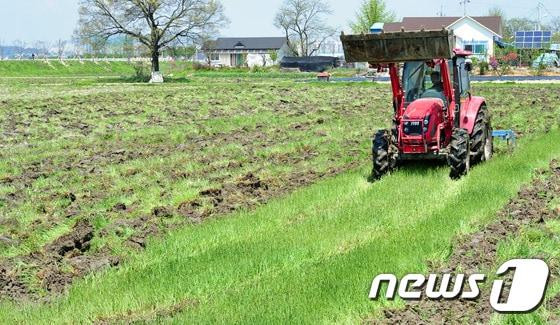 본문 이미지 - (뉴스1 자료사진/기사 내용과 무관)/뉴스1 ⓒ News1