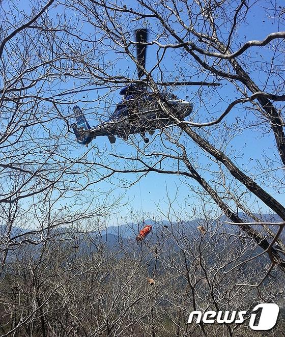 본문 이미지 - 기사 이해를 돕기 위한 헬기구조 자료 사진으로, 기사 내용과 관련 없음. &#40;재판매 및 DB금지&#41;/뉴스1