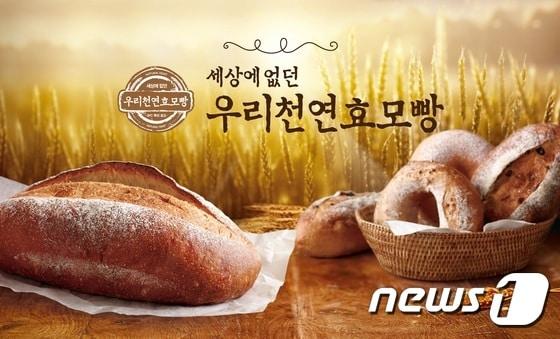 본문 이미지 - ⓒ News1 파리바게뜨가 우리 전통 누룩에서 추출한 순수 토종 천연효모(SPC-SNU)로 만든 천연효모빵 27종을 선보인다.
