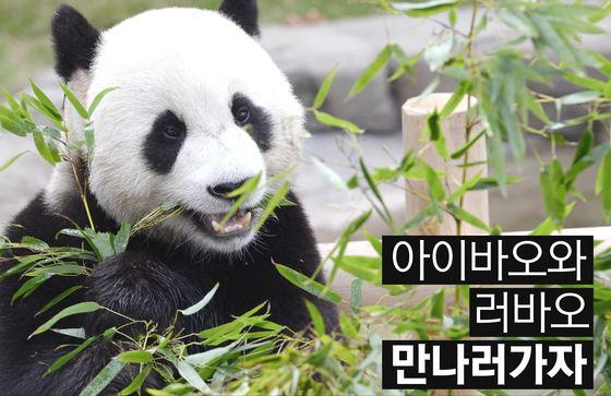 본문 이미지 - ⓒ News1