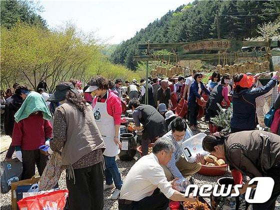 본문 이미지 - 축제의 모습.(홍천군청 제공)2016.4.22/뉴스1 ⓒ News1 박태순 인턴기자