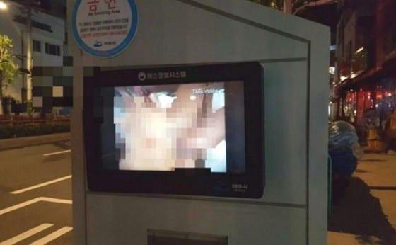 본문 이미지 - 사진=인터넷커뮤니티 ⓒ News1 