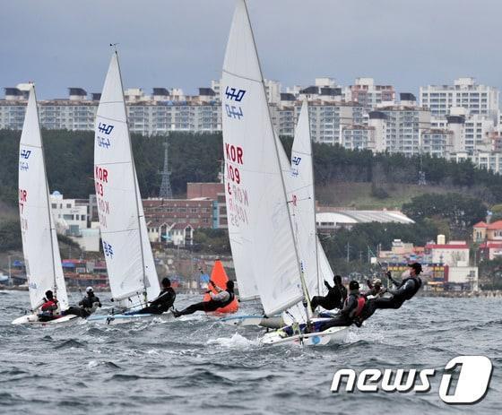 본문 이미지 - 경북 포항 영일대 해수욕장 해상에서 열린 요트대회. (뉴스1 자료) ⓒ News1 최창호 기자
