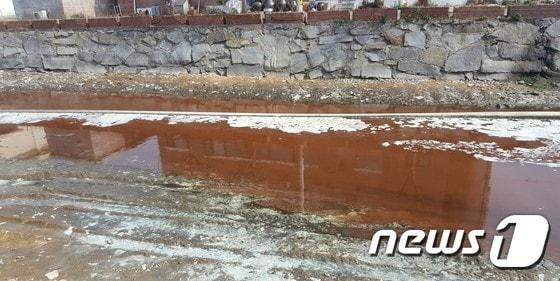 본문 이미지 - 전남 고흥군 김가공 공장들이 물김 가공 과정에서 발생한 세척수를 무단 방류하며 공장 인근 하천이 붉게 물들어 있다.(독자 제공)2016.4.4/뉴스1 ⓒ News1 지정운 기자