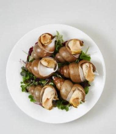 본문 이미지 - ⓒ News1