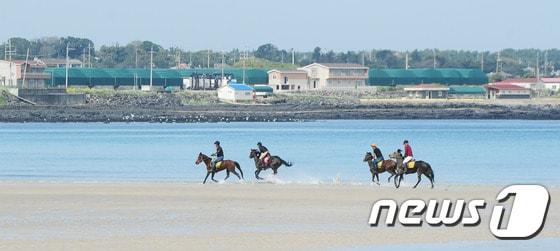 본문 이미지 - 해변에서 말을 타는 사람들.(해당기사와 관련없음. 뉴스1 사진자료)2023.4.9/뉴스1 ⓒ News1 