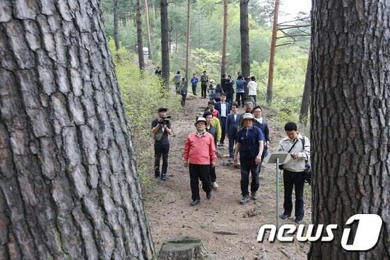 본문 이미지 - 경북 울진군 금강소나무 숲길을 찾은 관광객들.(농림축산식풉부 제공)2016.5.1/뉴스1 ⓒ News1 민경석 기자