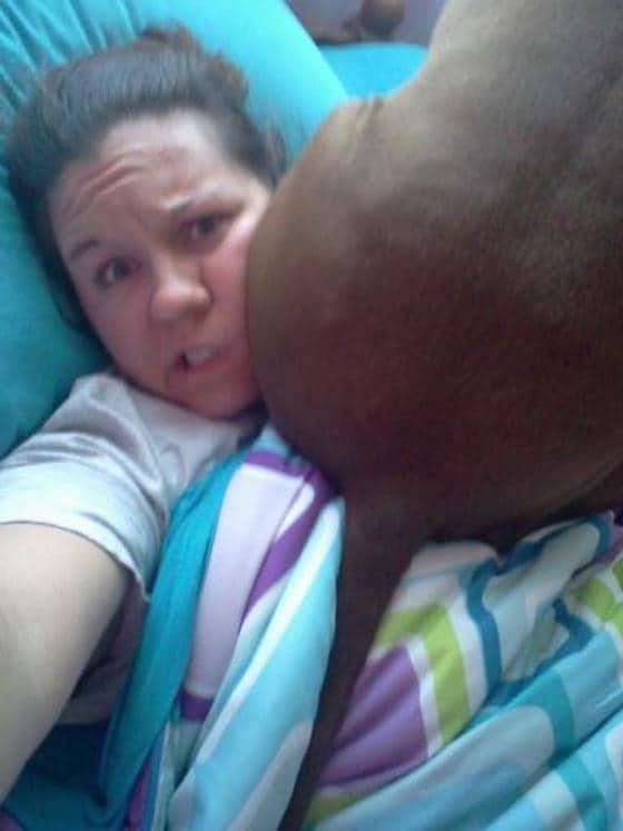 본문 이미지 - 미국 동물전문매체 도도는 12일(현지시간) 반려견이 주인에게 엉덩이를 들이대는 이유를 소개했다.(사진 도도 관련기사 캡처)ⓒ News1