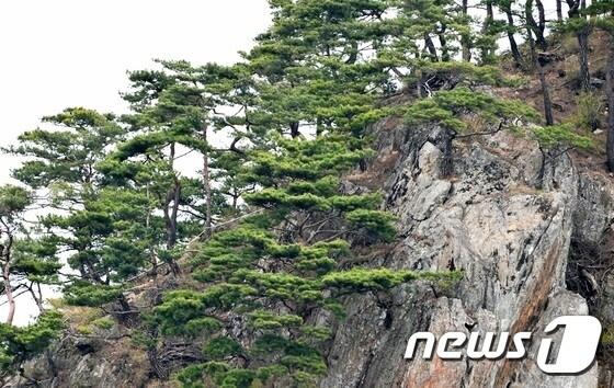 본문 이미지 - 괴산군이 공모한 ‘성불산 불상을 찾아라’ 사진공모전 입상작 중 금상을 받은 전태우씨의 작품 ‘성불사 옛 절터를 바라보고 있는 부처님 모습’ⓒ News1