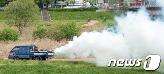본문 이미지 -  대전 유성구보건소 방역기동반 직원들이 만년교 인근 하천에서 방역을 하고 있다. 2016.5.2/뉴스1 ⓒ News1 주기철 기자