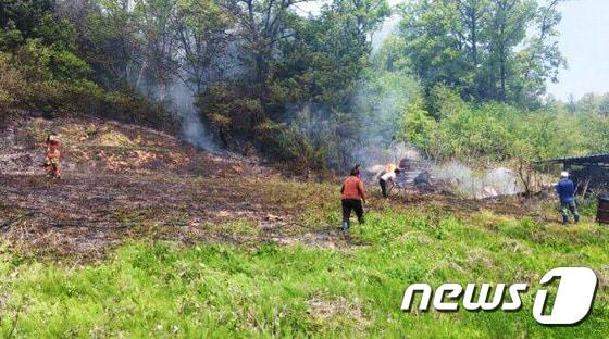본문 이미지 - 논두렁에서 쓰레기를 소각하다가 불이 인근 산으로 옮겨 붙었다./뉴스1 ⓒ News1