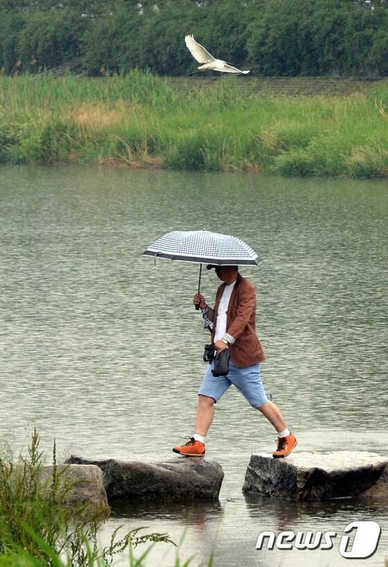 본문 이미지 - 우산 쓴 행인. (재판매 및 DB금지)/뉴스1