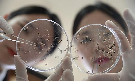 본문 이미지 - 자료사진./뉴스1