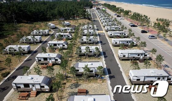 본문 이미지 - 망상 제2오토캠핑장. (뉴스1 DB) ⓒ News1