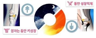 본문 이미지 - ⓒ News1