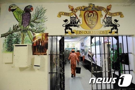 본문 이미지 - 남아프리카공화국 케이프타운에 위치한 폴스모어 교도소. ⓒAFP= News1