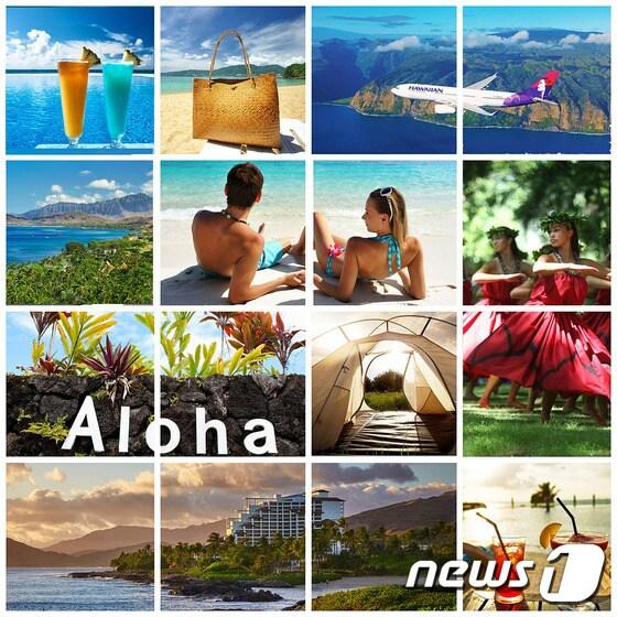 본문 이미지 - ⓒ News1