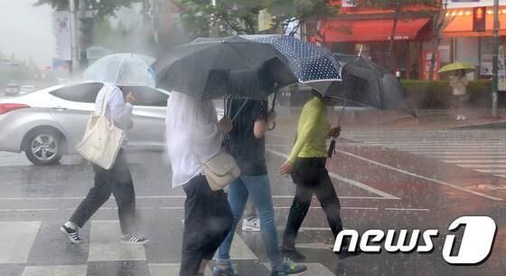 본문 이미지 - 대전 서구의 한 신호등에서 우산을 쓴 시민들이 발걸음을 재촉하고 있다. (뉴스1DB) 2016.6.15/뉴스1 
