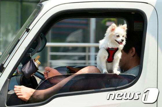 본문 이미지 - 사진은 기사 내용과 무관함 /뉴스1 ⓒ News1 신웅수 기자