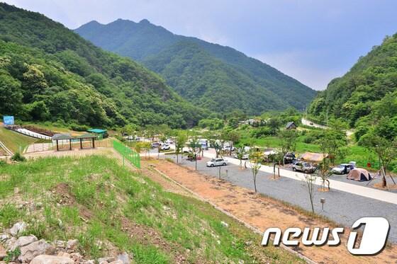 본문 이미지 - 강원 횡성군 병지방오토캠핑장(횡성군 제공)/뉴스1 ⓒ News1