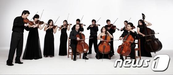 본문 이미지 - 세종솔로이스츠. (강원문화재단 제공) 2016.6.28/뉴스1ⓒ News1